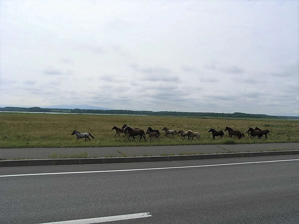 夏旅 2007 08 18 (27)