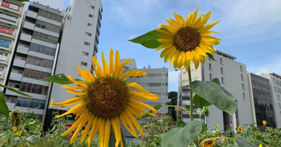 おすすめ映画 マトリックス フル動画の無料視聴 あらすじ 白川 勇華 Note