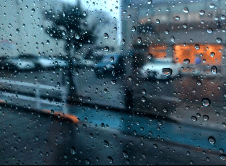 バスの中からみた、雨。
