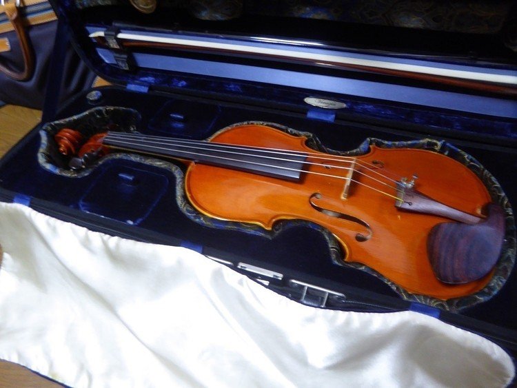 ヴァイオリニストの音楽療法を受けました。
