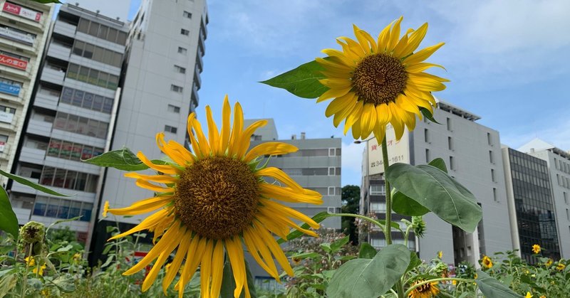 メモ マコなり社長 即改善 仕事で 何言ってるかわからない人 の話し方 top3 ゆうすけ 朝活 筋トレ 製薬mr note