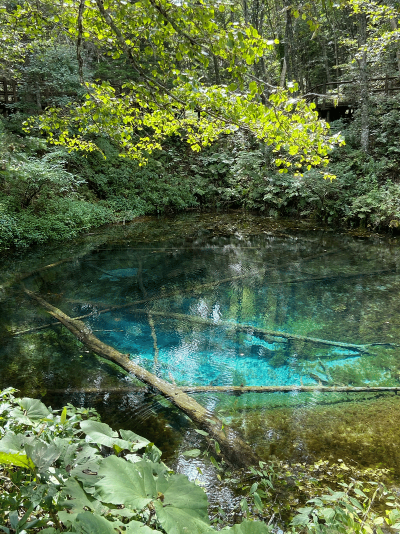 道東旅行記 屈斜路湖 摩周湖 知床 Ft Note 道東旅行記 屈斜路湖 摩周湖 知床 Ft Note