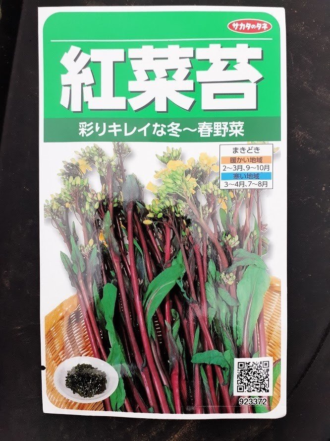 今日の畑 9 19分 キュウリの収穫 ゴボウ 紅菜苔の種蒔き はた坊 Note