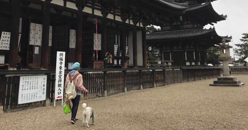 脳腫瘍摘出の手術 後遺症の話その13 Kohochan Note