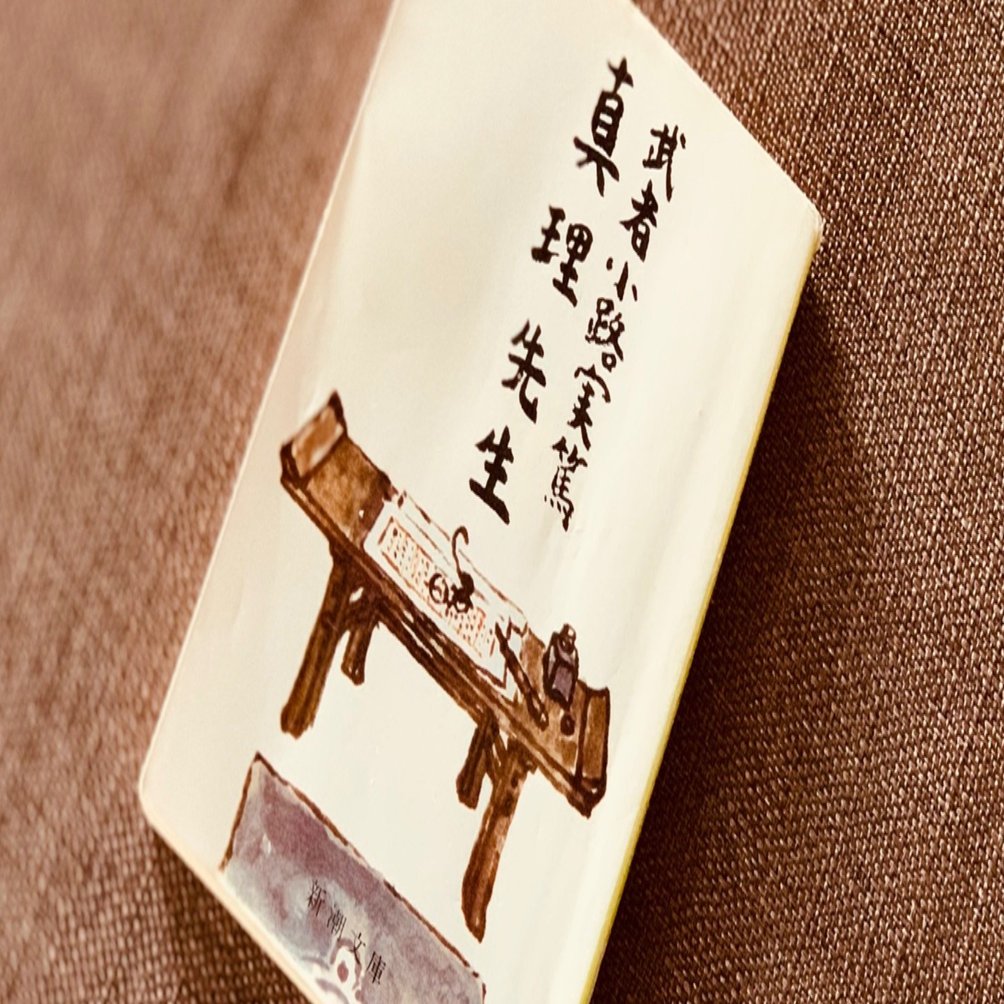 読書録】『真理先生』武者小路実篤｜サザヱ