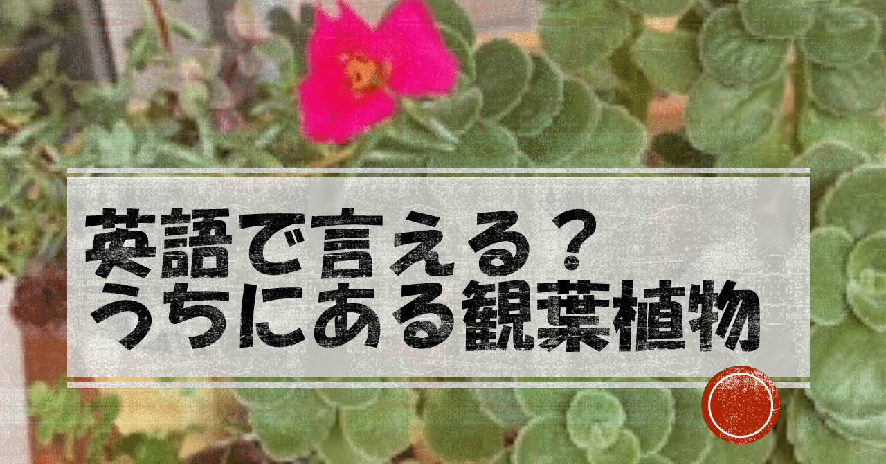 英語で言える うちにある観葉植物 Wave 1級翻訳士 Note