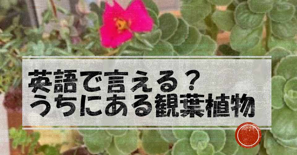 英語で言える うちにある観葉植物 Wave Note