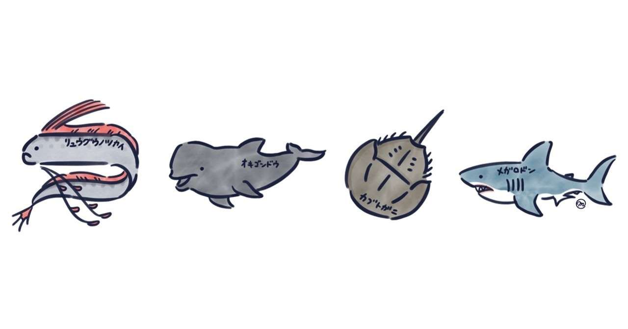 海の生き物 リュウグウノツカイ まりか博士 Note