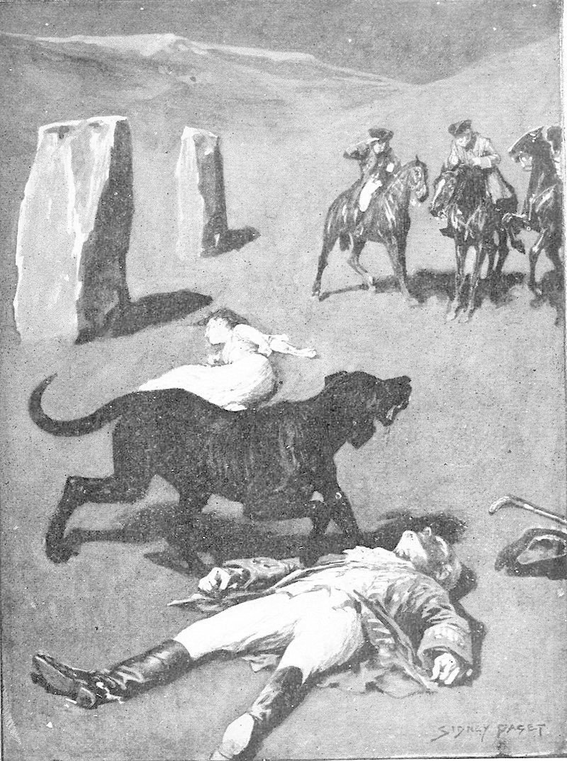 バスカヴィル家の犬 を読み解く 黒井瓶 Note バスカヴィル家の犬 を読み解く 黒井瓶 Note