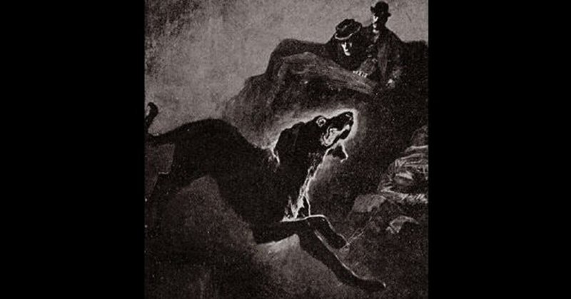 バスカヴィル家の犬 を読み解く 黒井瓶 Note バスカヴィル家の犬 を読み解く 黒井瓶 Note