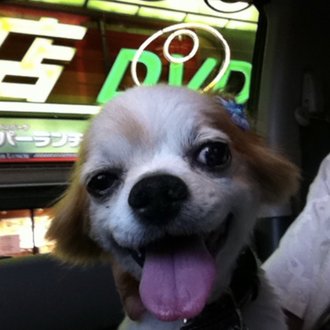 シャブのキレメとポン中達の行き先 456ball Note