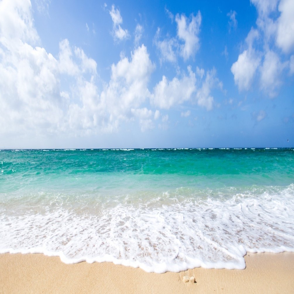 知られざる名作 海がきこえる のその後は 内容 あらすじ はありふれているが評価は高い Ronmel Note