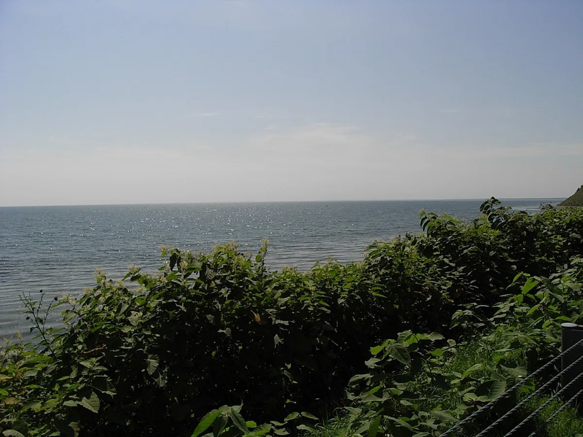 夏旅 2007 08 20 (5)