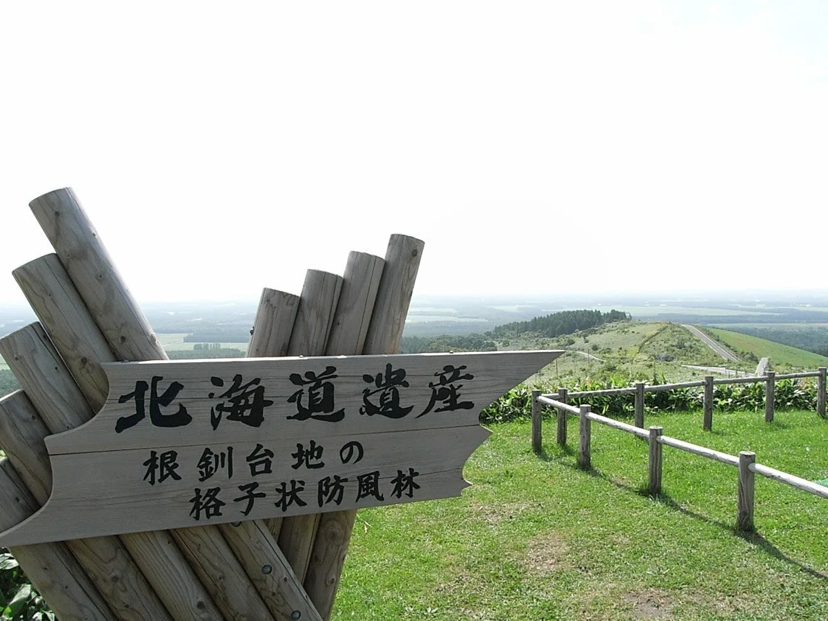 夏旅 2007 08 21 (7)