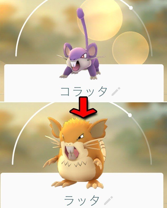 コイキング コラッタ コダック 絵とタコとw岡本竜也 Note