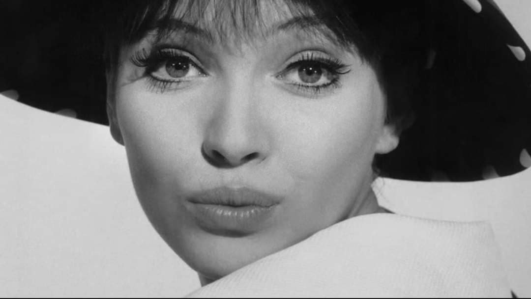 e97f346693d93d26e4f092cd0d1ad9