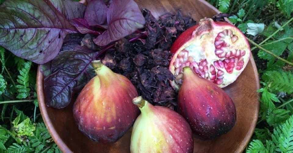 自然ぐすり ローゼル コーディアル講座 Happy Smile Note