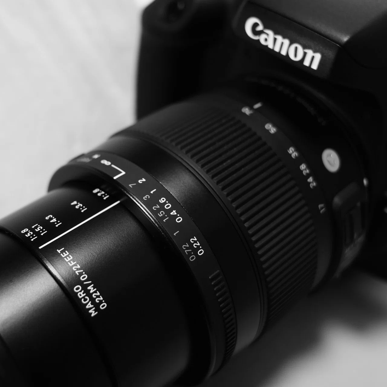 Photographing With, Vol. 4: 解像感＆ちょいマクロ Sigma 17-70mm f 