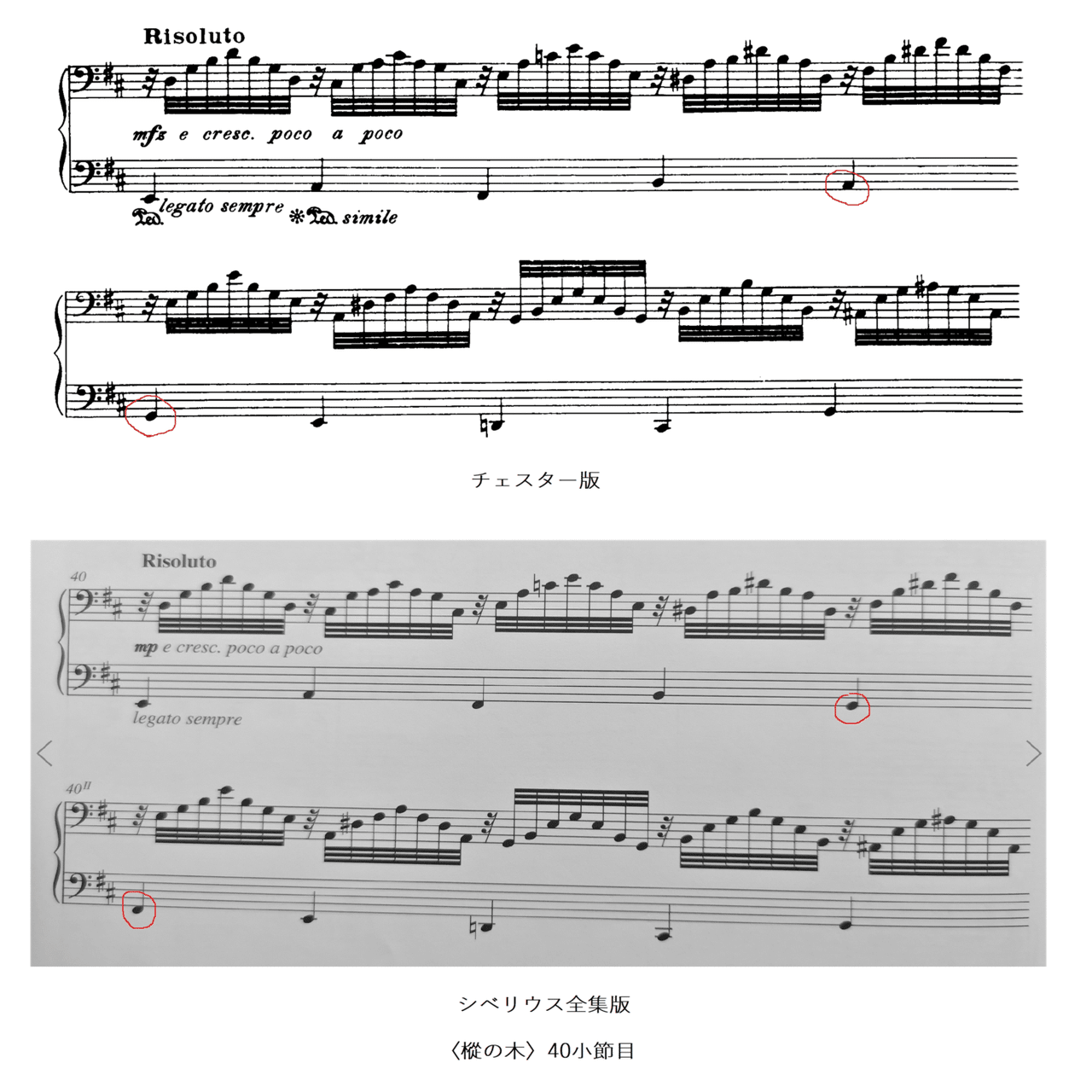 シベリウス：《樹の組曲》に見る楽譜の歴史―初版からシベリウス全集版