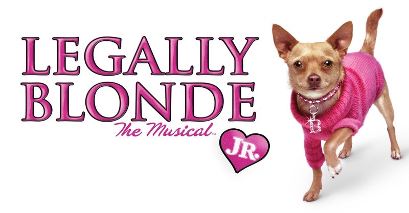 映画 vs ミュージカル キューティー ブロンド may in canada note