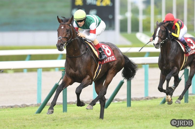 190924-11神戸新聞杯-3