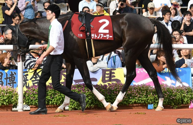 サトノアーサー神戸新聞杯