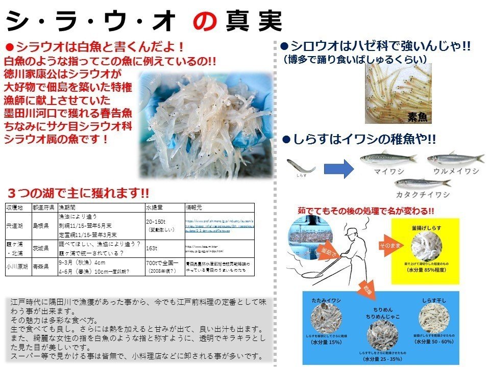 シラウオのご縁 7 29 鳥山雅庸 Note