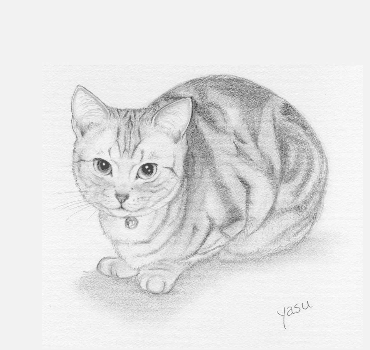 猫日和 66 Galois 鉛筆画 Yayayasu Note 猫日和 66 Galois 鉛筆画 Yayayasu Note