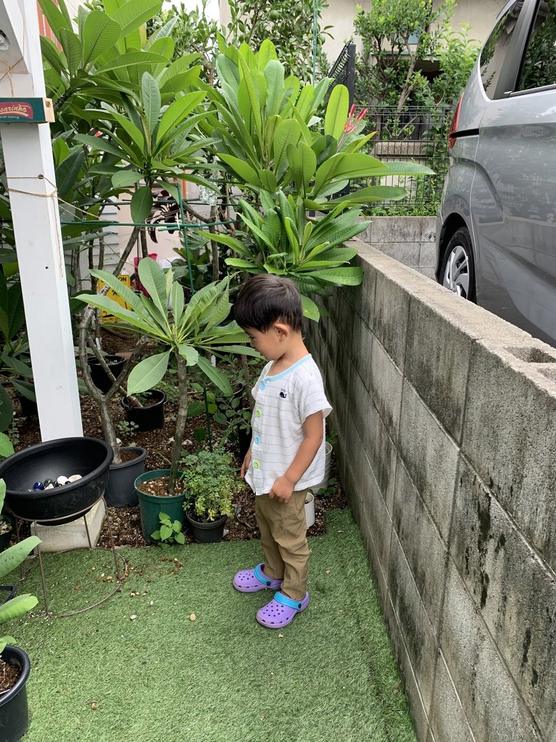 生長点障害 再発 そして 塩基バランスのこと Hoppie Note