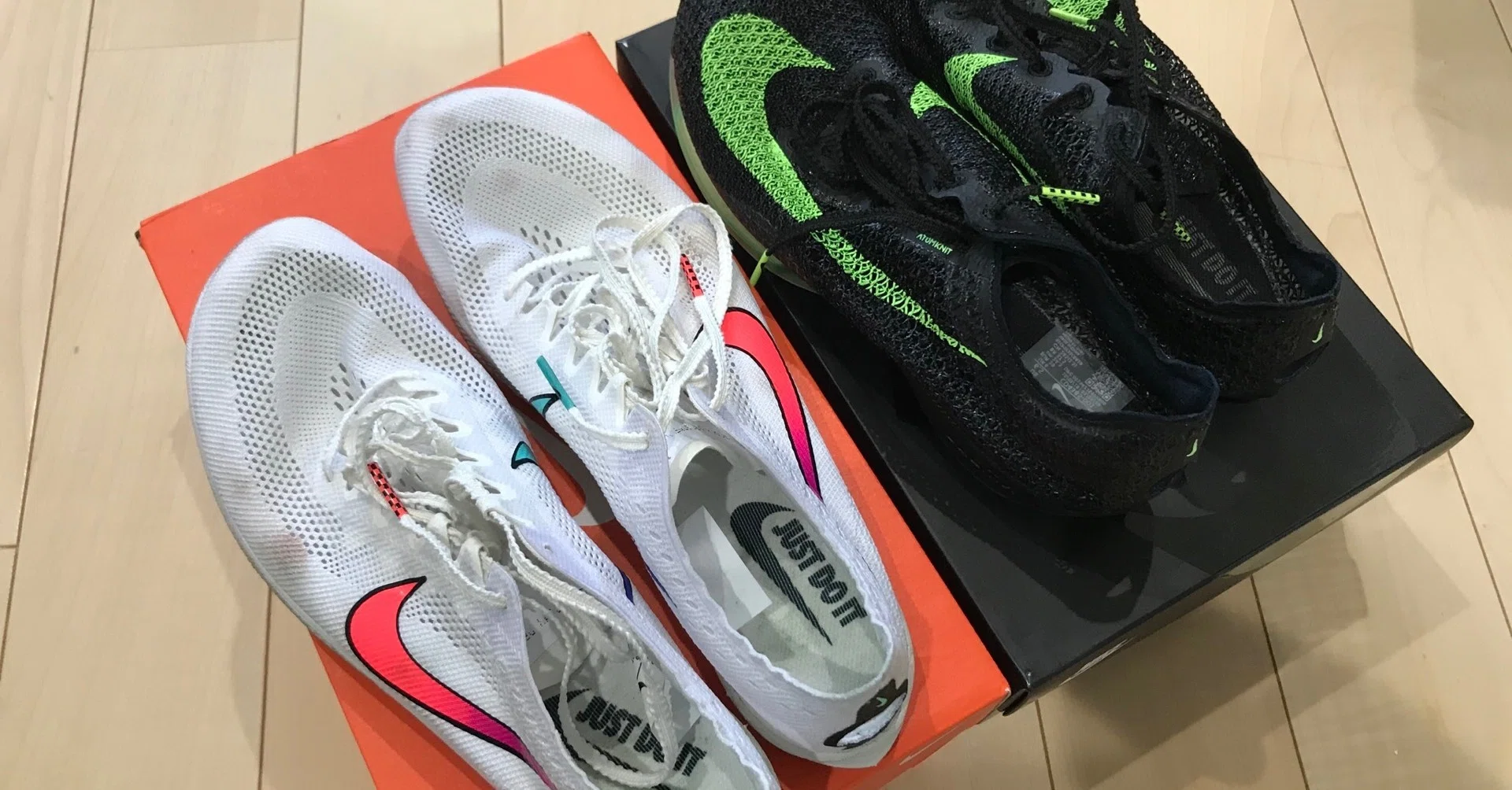 ドラゴンフライとエアズームビクトリー (dragonfly and air zoom ドラゴンフライとエアズームビクトリー (dragonfly and air zoom