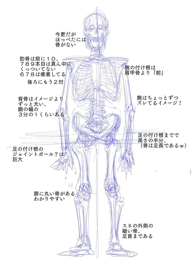 ほねのれんしゅう１ 梅熊大介 Note