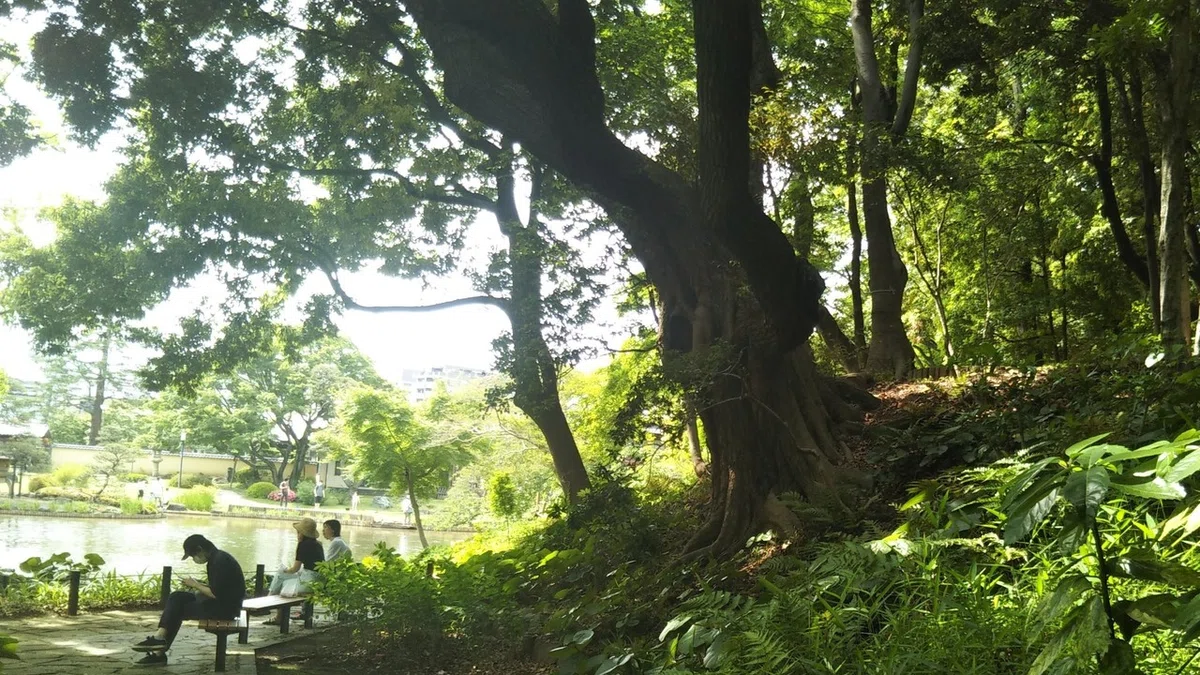 画像3