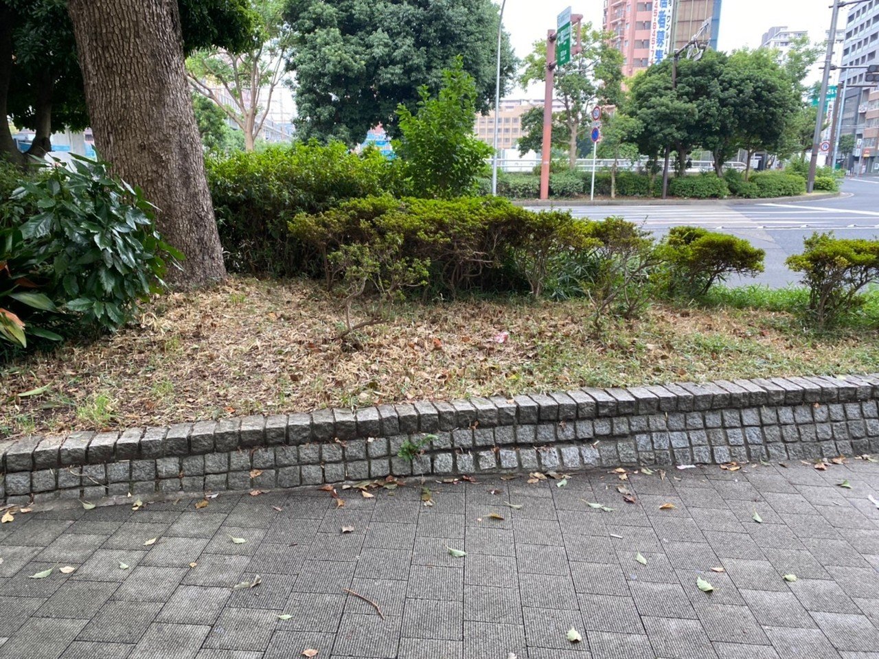 龍が如く7 リアル聖地めぐり 1 けんちゃんのあたまの上のキューちゃん Note