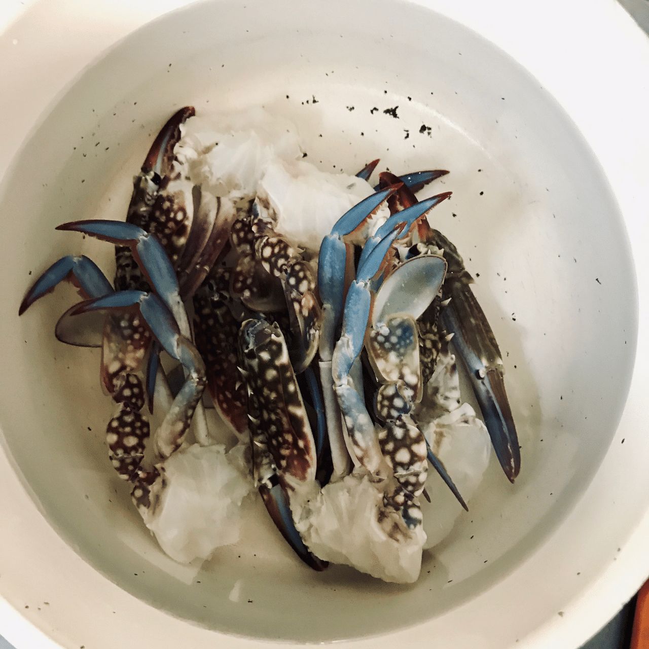 ワタリガニの味噌汁 As Note ワタリガニの味噌汁 As Note