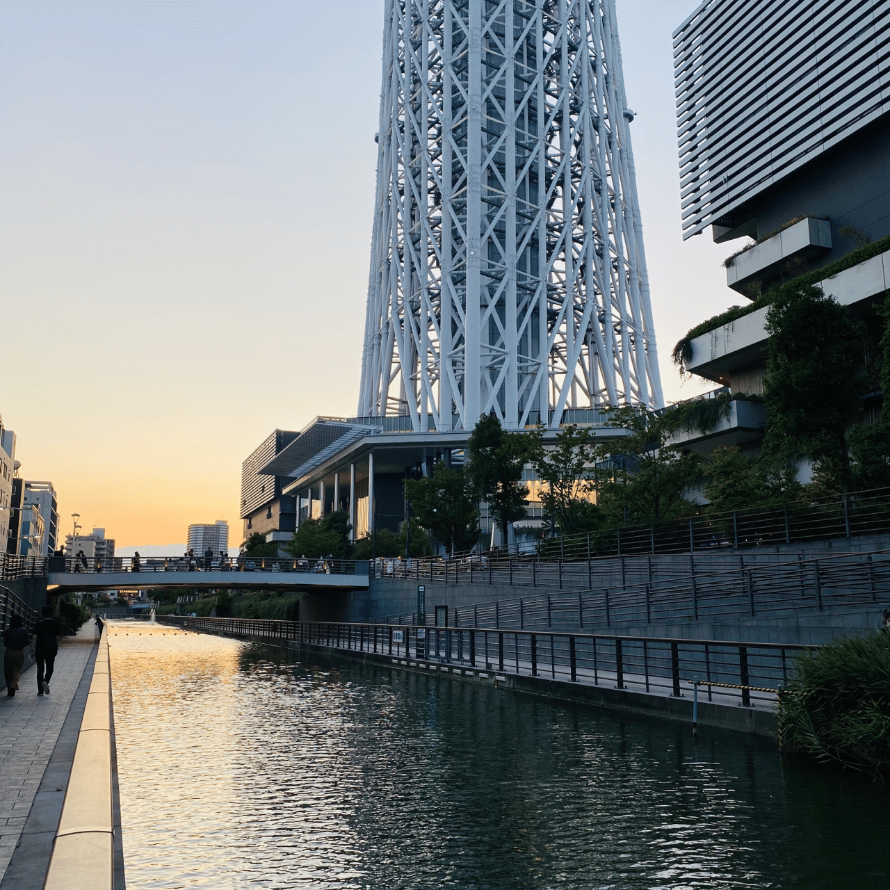 東京スカイツリーの目の前でハゼ釣り Salty Note