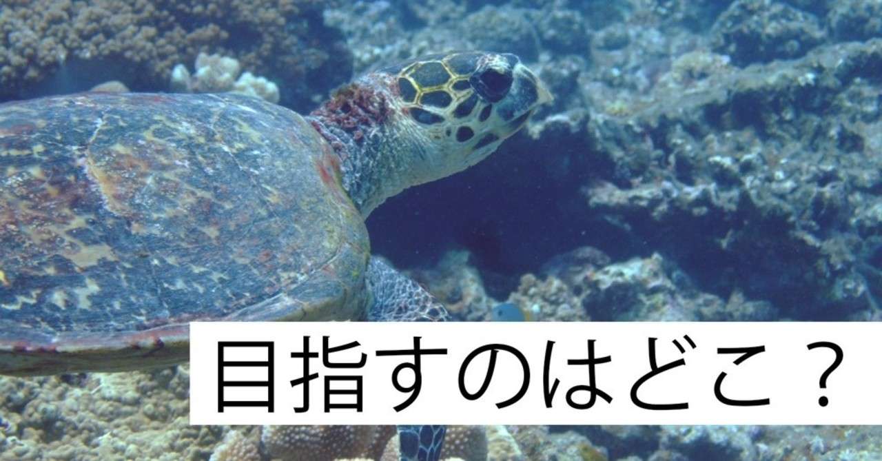 どの山に登るのか 亀山友貴 Narashika Note
