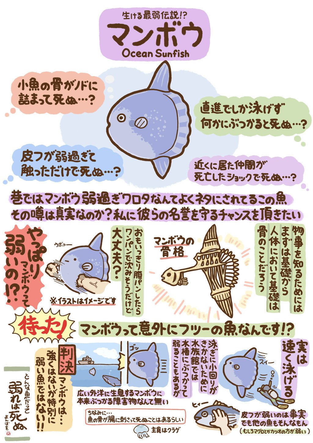 いきもの図鑑 マンボウ 高橋のぞむ Note