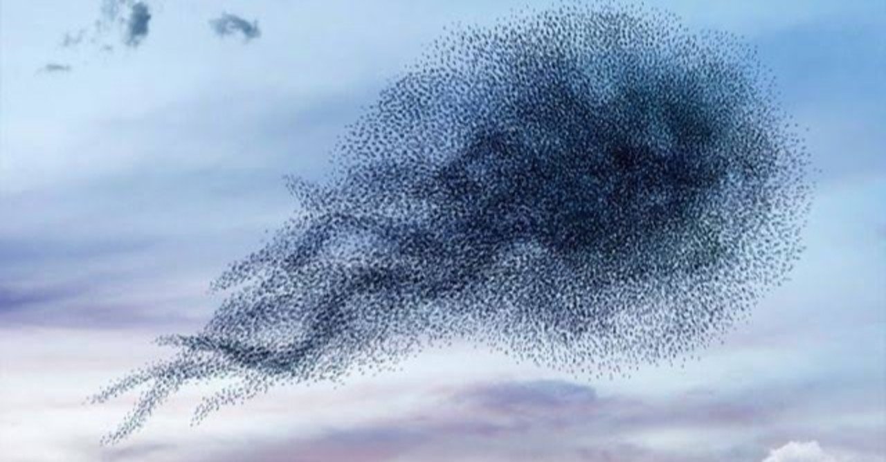 第1261回 世界で最も生息数が多い鳥 翆野 大地 Note