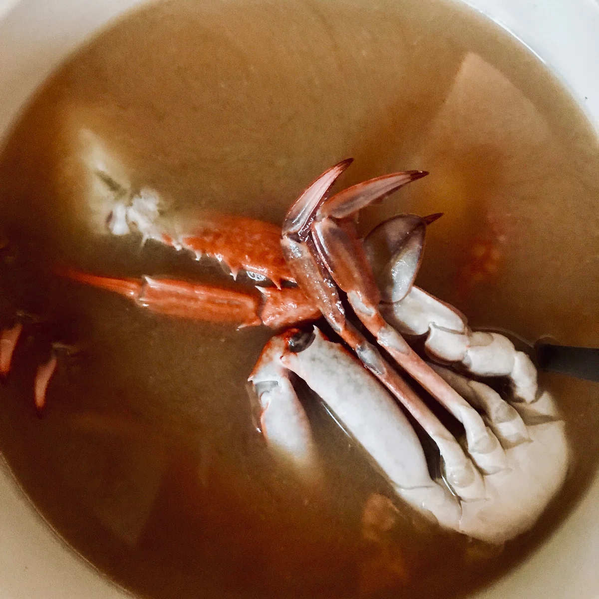 画像9