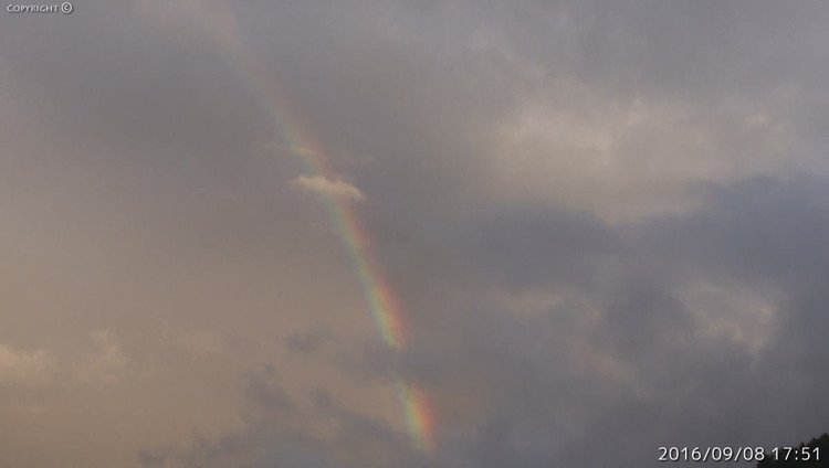 ふと外が気になってベランダに出て空を見ると、正面にくっきりとした虹が出ていました。