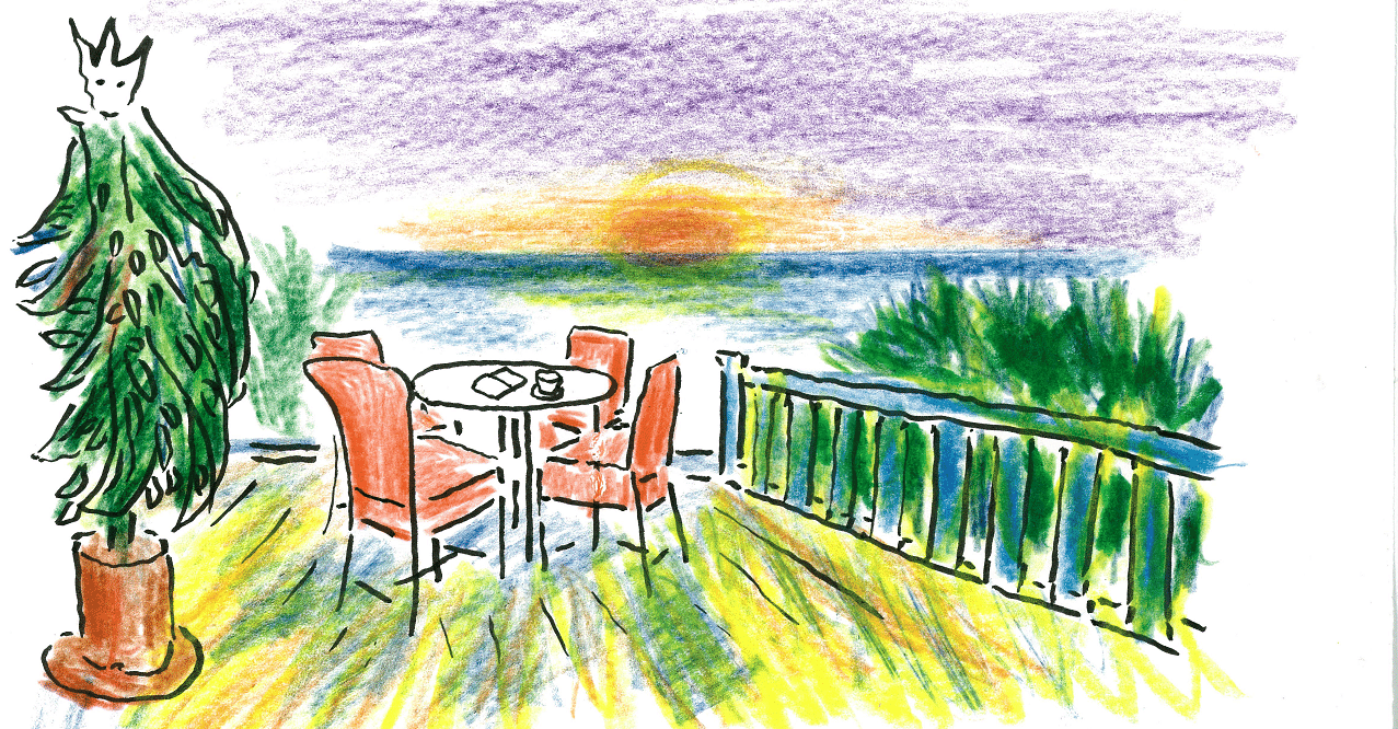 娘と一緒にもう一度行きたいハワイ島/沢野ひとし｜世界文化社 公式note