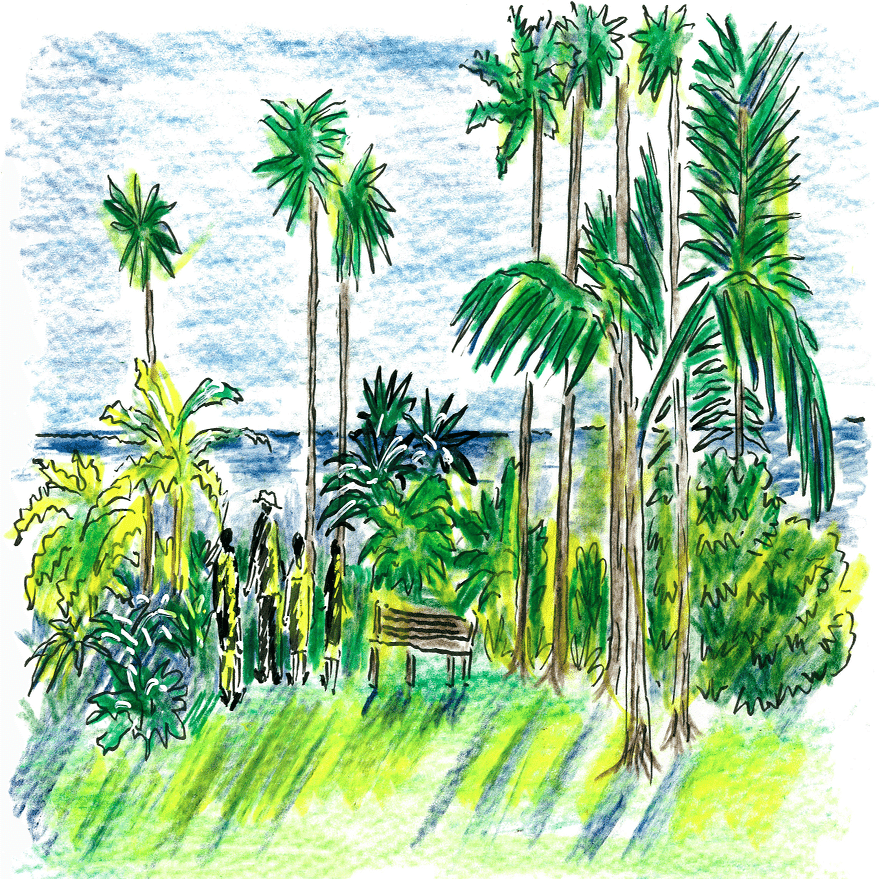 娘と一緒にもう一度行きたいハワイ島/沢野ひとし｜世界文化社 公式note