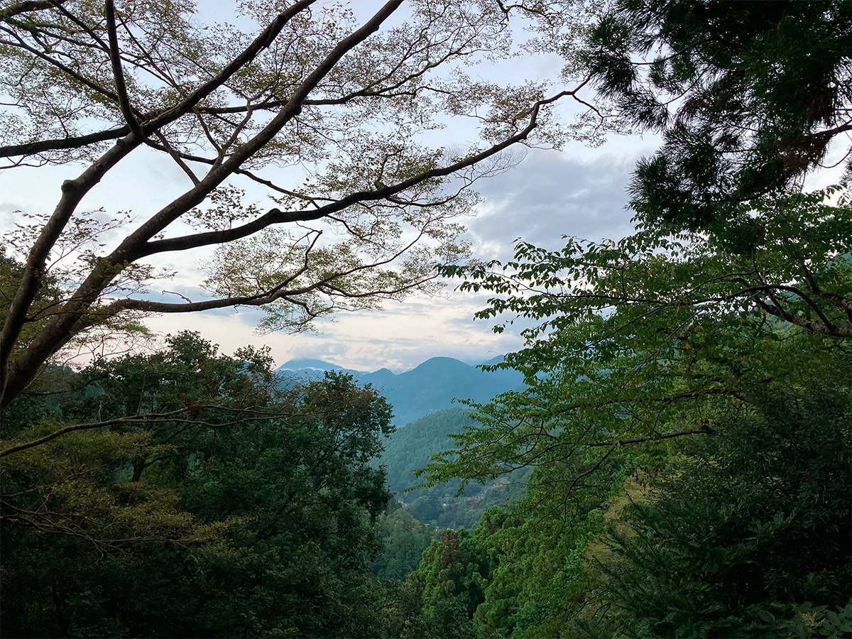 身延山で「音の巡礼」｜音の巡礼