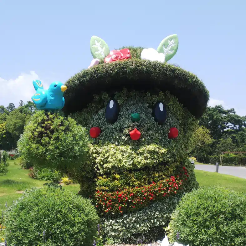 天晴