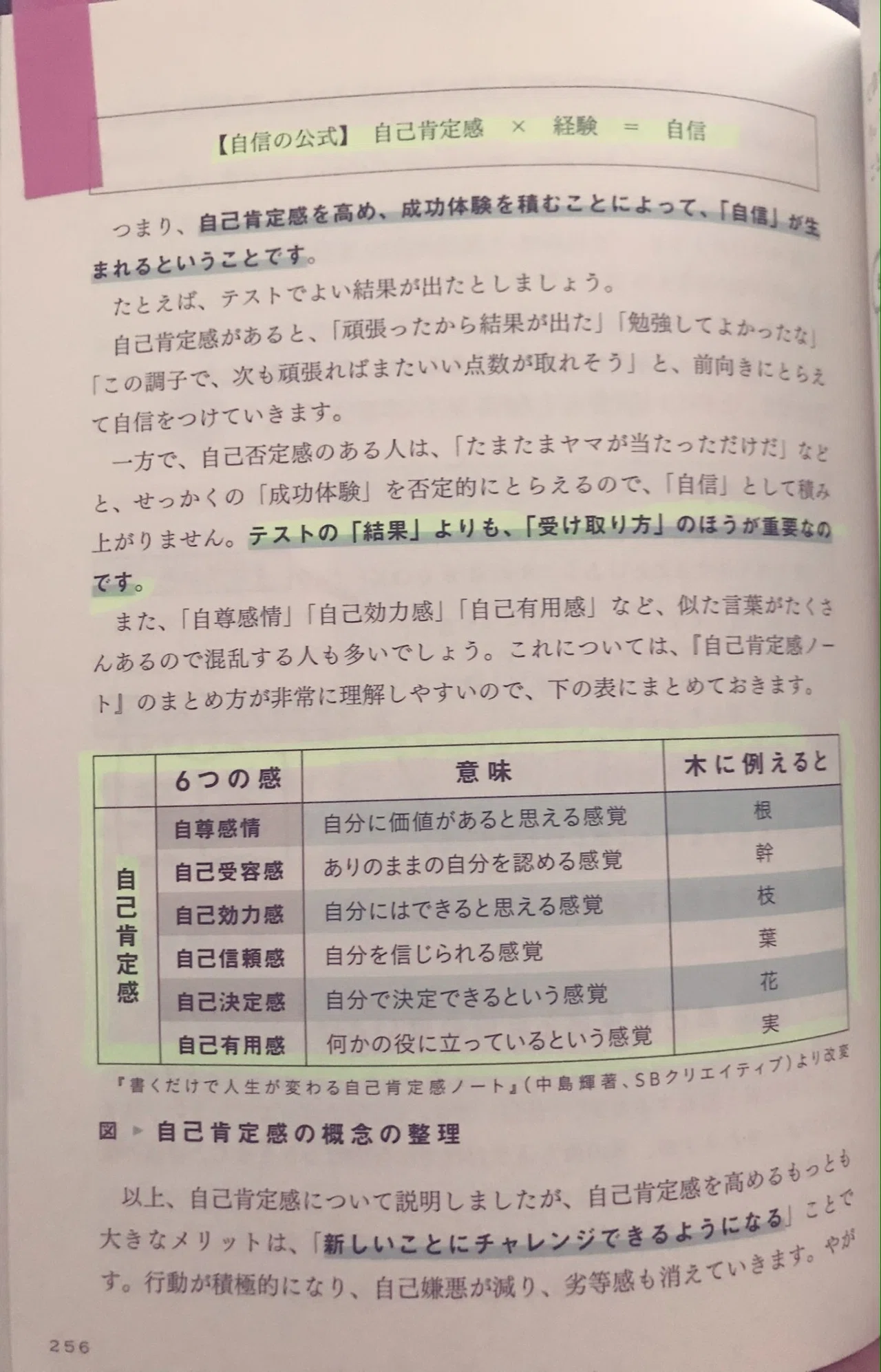 樺沢紫苑 ストレスフリー超大全 より 自信の公式とは 自己肯定感 経験 自信 その自己肯定感を細分化し木に例える これは中島輝 の 自己肯定感の教科書 から引用しているもので とてもわかりやすくて覚えや 大先生マダオ カリスマsst講師 Note