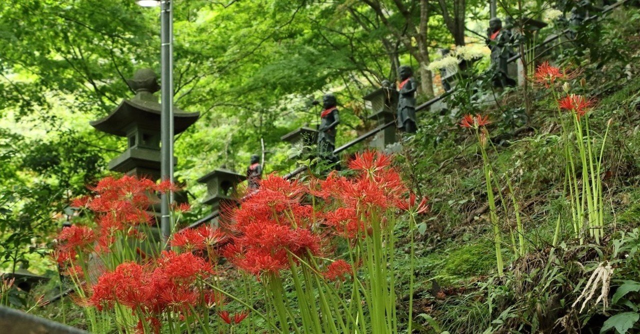 登山 大山 神奈川 １ ゆうほ Note