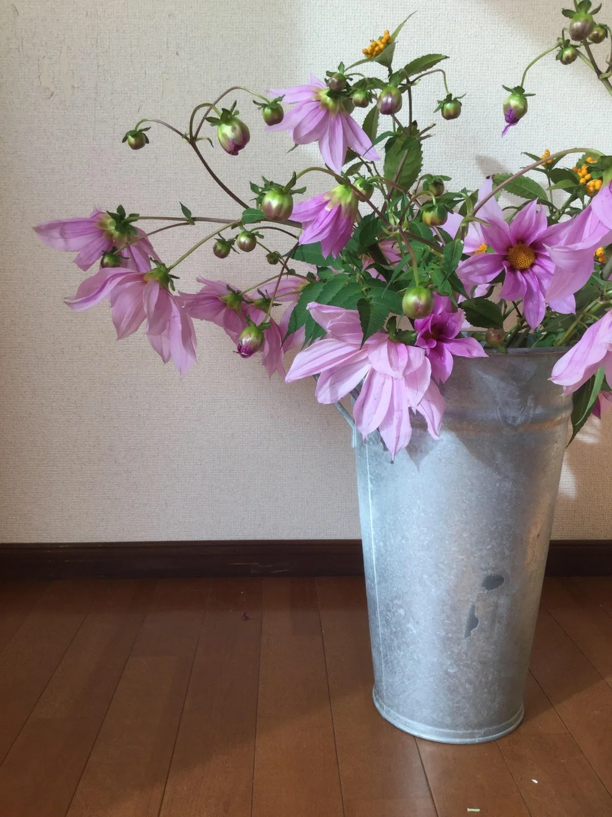 画像10