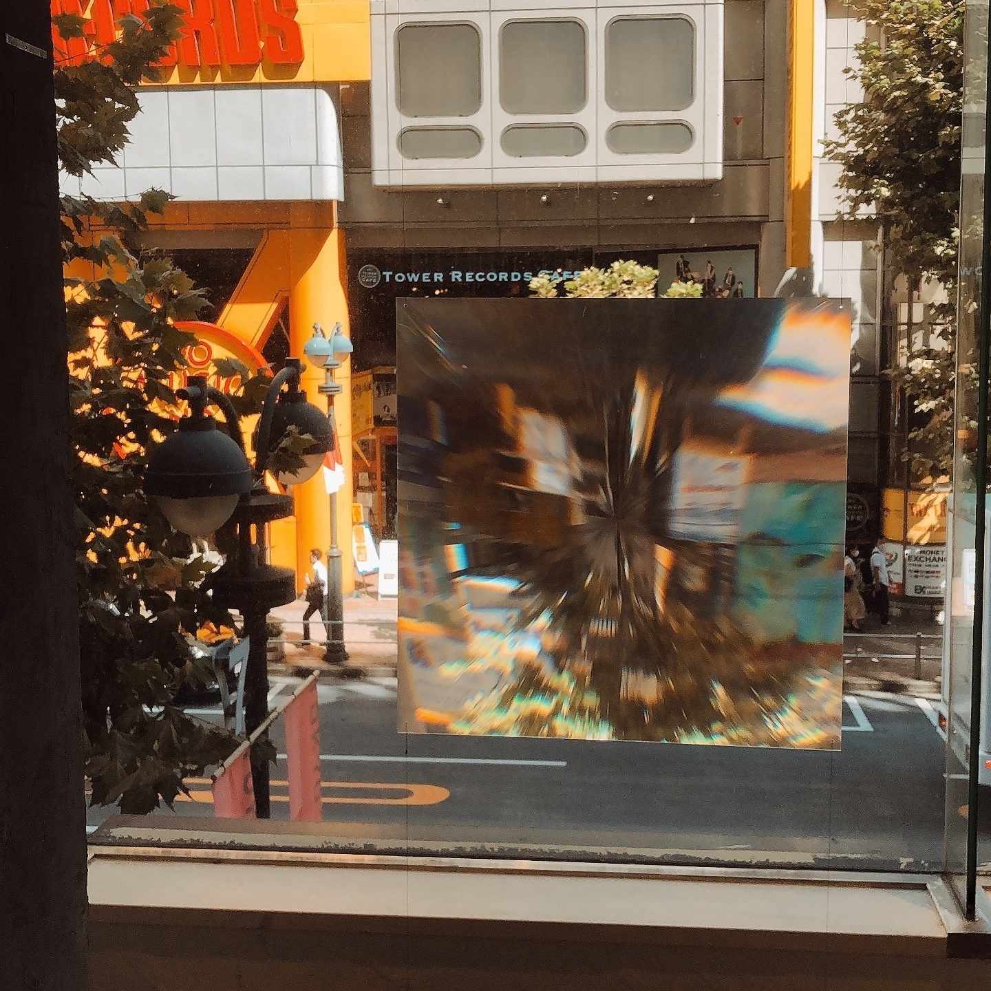 自分のコンプレクスに気づいてしまった 虫愛づる姫君ちゃん Note