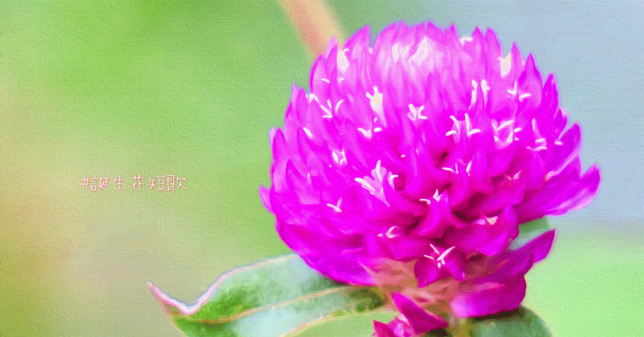 9月22日 誕生花は千日紅 誕生花短歌 御子柴 流歌 Note 9月22日 誕生花は千日紅 誕生花短歌 御子柴 流歌 Note