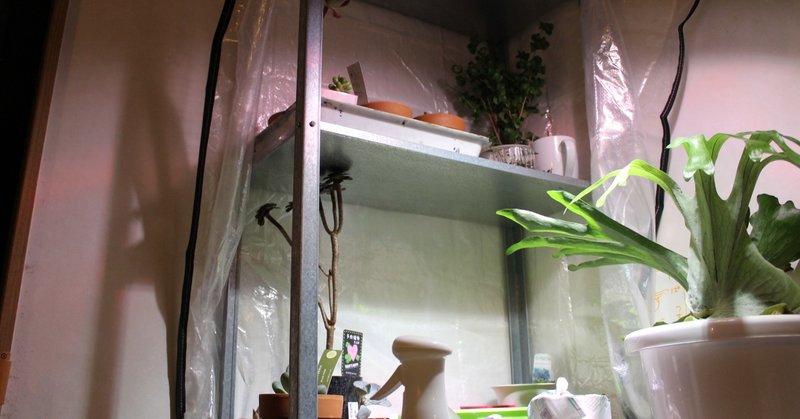 植物用の棚購入 設置 Nakada Shugo Note 植物用の棚購入 設置 Nakada Shugo Note